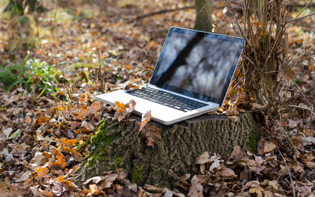 5 astuces pour une veille adaptée au secteur forêt-bois