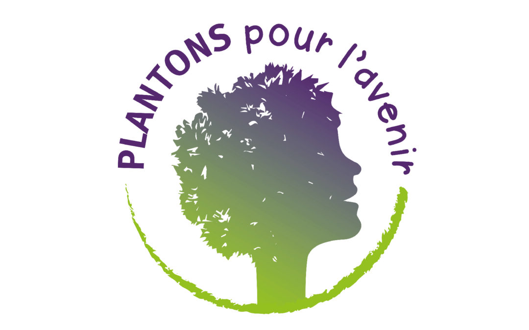 Stratégie de communication