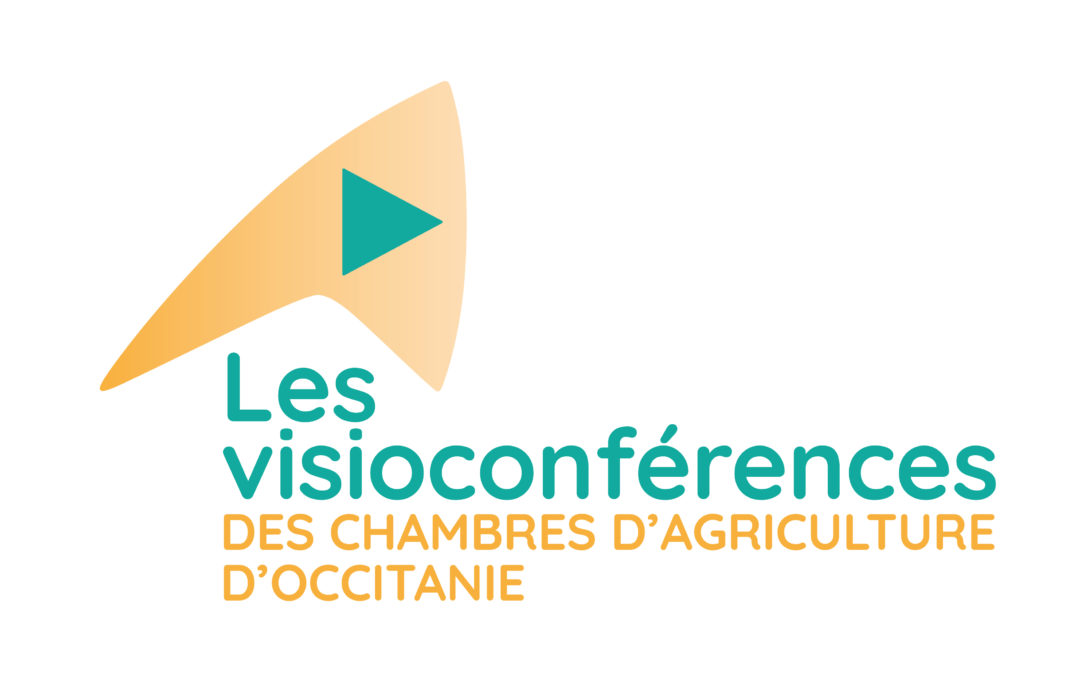 Création de visuels