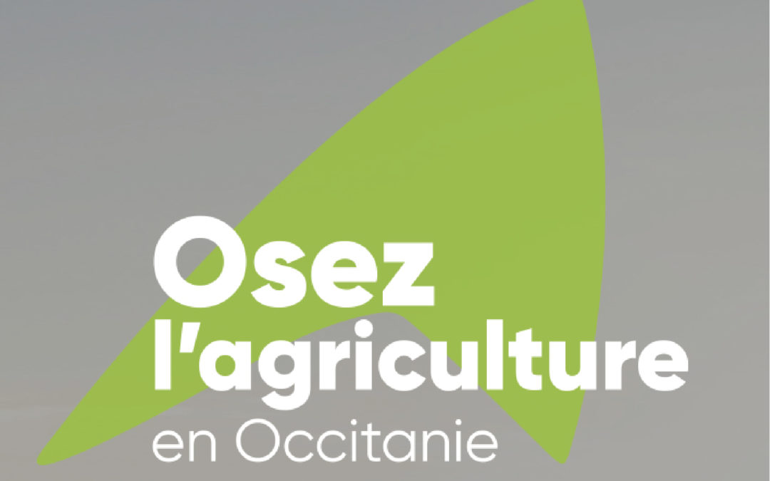 Mise en place d’une campagne de communication