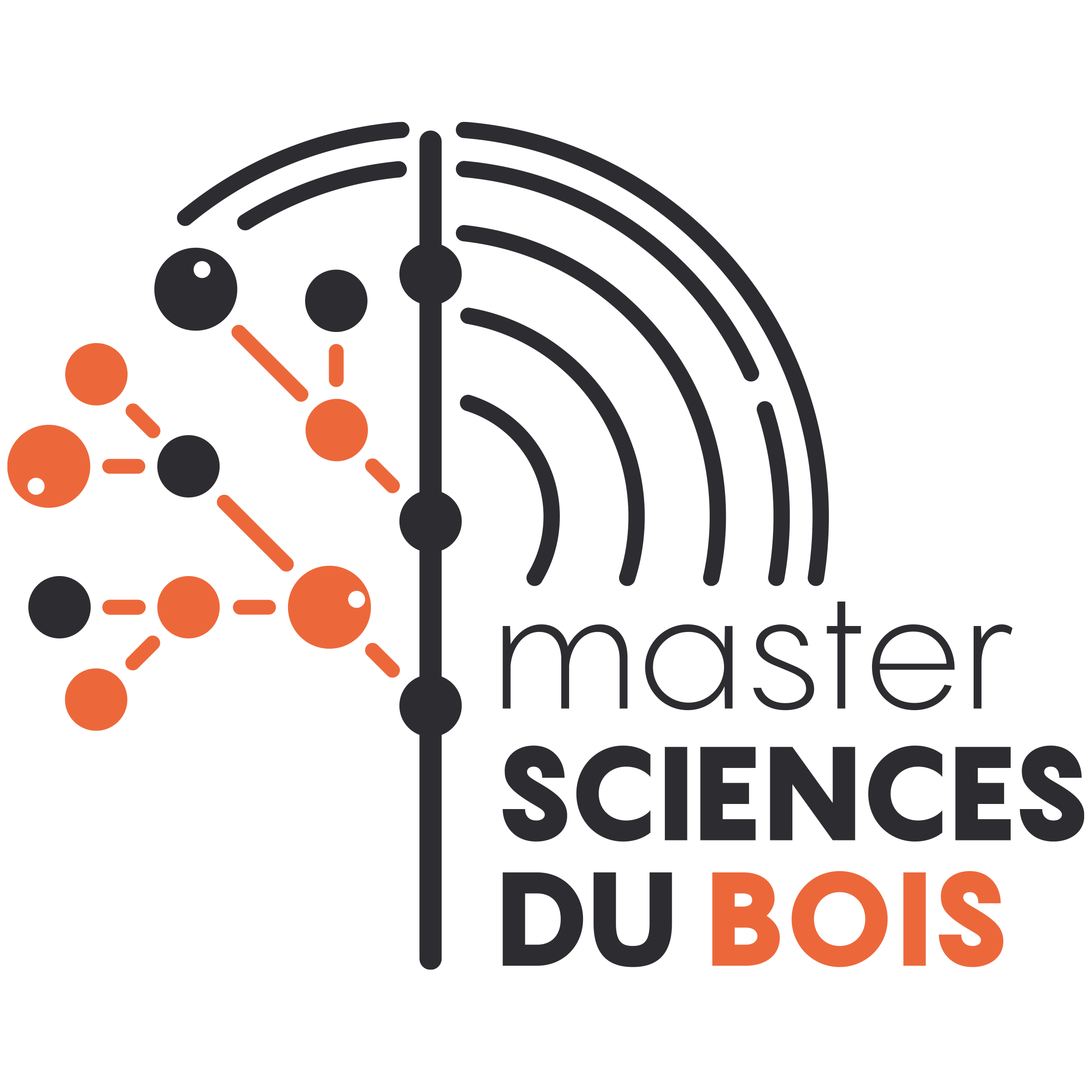 logo msaster sciences du bois