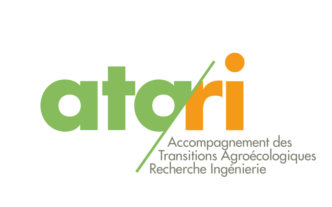 Création de fiches synthèses de cas d’études