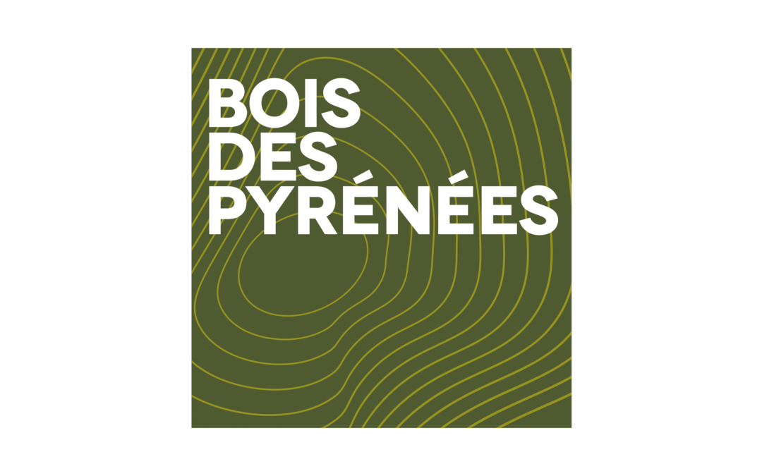 Créations web, print & photos