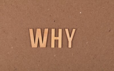 Communiquer sur son “Pourquoi”’ (WHY) : la théorie du Cercle d’or inspirée par Simon Sinek »