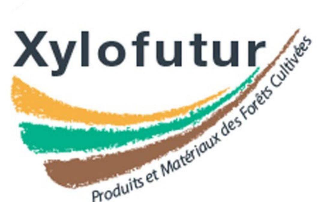 Réseaux sociaux – Xylofutur